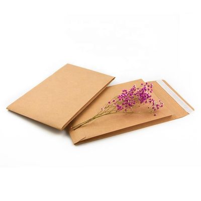 Imballaggio espresso Carta kraft V fondo con cucitura di coiffeo riciclata busta di spedizione su misura